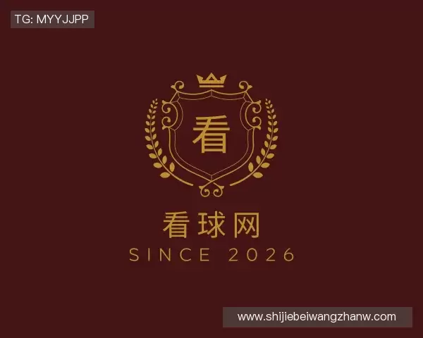 解读看球网